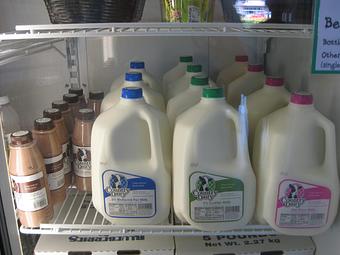 Product: We carry local Country Dairy Milk, cheese, & Moochies! - Rennhack Orchards Market in Hart, MI Fruit & Vegetables