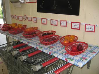 Product: Our sample shelf--get your servings of fruit in! - Rennhack Orchards Market in Hart, MI Fruit & Vegetables