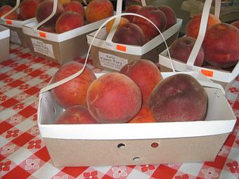 Product: Our tree-ripened peaches, sweet and juicy! - Rennhack Orchards Market in Hart, MI Fruit & Vegetables