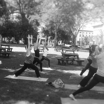 Product - Restoring Light Yoga Therapy and Wellness Center in In same building as Electric Hair. In building infront of gymnastics academy. - Newark, OH Health Care Information & Services