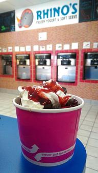 Product - Rhino's Frozen Yogurt & Soft Serve in Cincinnati, OH Dessert Restaurants