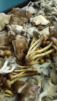 Product: Cascadia Mushrooms ready to oven roast - Rhododendron Cafe in Bow, WA American Restaurants Product: Cascadia Mushrooms ready to oven roast - Rhododendron Cafe in Bow, WA American Restaurants