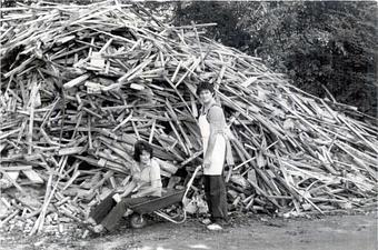 Product - Ricks Barbecue - Sky Park in Florence, AL Barbecue Restaurants