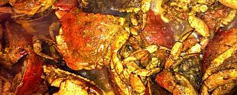 Product - Rite Spice Caribbean in Lynn, MA Caribbean Restaurants