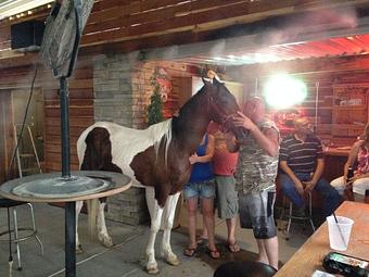 Product: Horses like it too ! - River Bottom Bar and Grill in Florence, AZ Bars & Grills