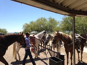 Product: Horse parking too - River Bottom Bar and Grill in Florence, AZ Bars & Grills