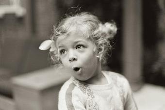 Product - Robin Resch Studio Photography in Downtown Princeton - Princeton, NJ Misc Photographers