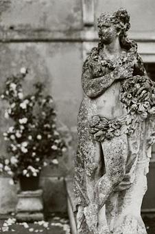 Product - Robin Resch Studio Photography in Downtown Princeton - Princeton, NJ Misc Photographers