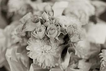 Product - Robin Resch Studio Photography in Downtown Princeton - Princeton, NJ Misc Photographers