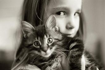 Product - Robin Resch Studio Photography in Downtown Princeton - Princeton, NJ Misc Photographers