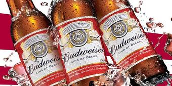 Product: budweiser bottle,king of beers,anheuser busch budweiser,budweiser lager,budweiser anheuser busch,beer budweiser,bud light,bud beer,budweiser beer,budweiser, beer - Rockin' S Bar & Grill in Frisco, TX Bars & Grills