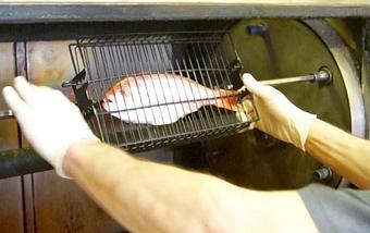 Product: Grilled Fishes - ROCKSALT - CVille in Charlottesville, VA American Restaurants