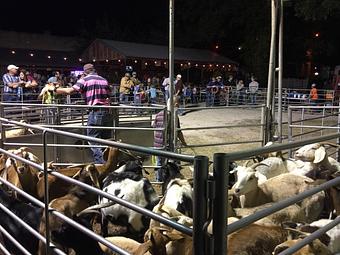 Product - Running M Bar & Grill in Gonzales, TX American Restaurants