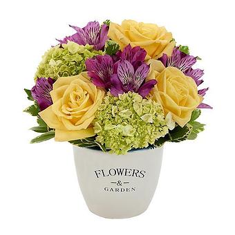 Product - Rushs Florist Tlo in SUMTER, SC Florists