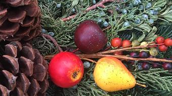 Product - Russell's Garden Cafe & Wine Bar at Molbak's in Woodinville, WA Bars & Grills