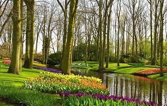 Product - Rustic Couch in Duluth, GA American Restaurants