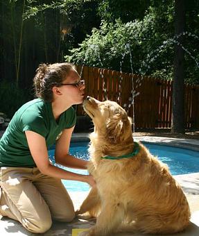 Product - Safari Pet Resort in Murfreesboro, TN Pet Boarding & Grooming