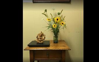 Product - Safe Laser Therapy in Stamford, CT Day Spas