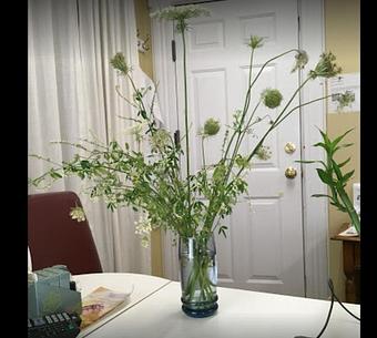 Product - Safe Laser Therapy in Stamford, CT Day Spas