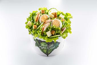 Product: Grilled chicken, Bacon, Boiled Egg, Parmesan, Croutons and your choice of Greens Base and Dressing - Salad Box in Downtown Miami - Miami, FL Health Food Restaurants