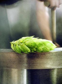 Product - Salem Ale Works in Salem, OR Pubs