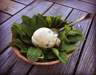 Product: Garden Fresh- Mint Chip Ice cream - San Francisco's Hometown Creamery in Inner Sunset - San Francisco, CA Dessert Restaurants