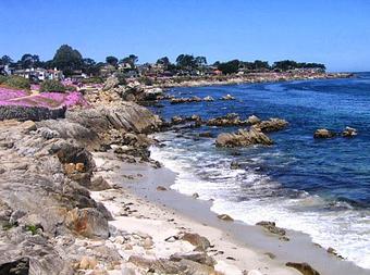 Product - Sanctuary Vacation Rentals in Near Downtown Monterey - Monterey, CA Travel & Tourism