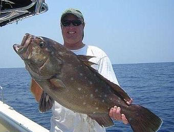 Product - SeaSquared Charters in Marathon Florida Keys - Marathon, FL Bus Charter & Rental Service