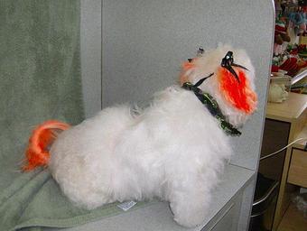 Product - Shear Delight Pet Grooming in Warren, MI Pet Boarding & Grooming