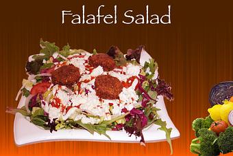 Product: Spring mix, shredded lettuce, pickled red cabbage, tomato and onion topped with Tzatziki sauce, home-made red chilli pepper sauce (mild), feta cheese and Falafel balls. Alternative dressings are available. - Shondiz Cafe in Right in front of Hard Rock Cafe - Denver, CO Greek Restaurants