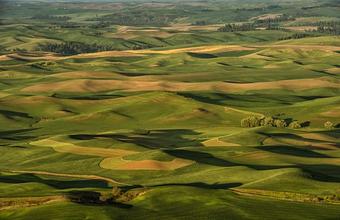 Product - Silverman's Photography in Santa Rosa, CA Misc Photographers