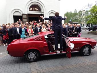 Product - Silverman's Photography in Santa Rosa, CA Misc Photographers