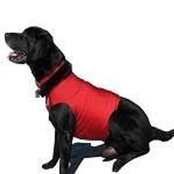 Product - Sit Means Sit Dog Training in Minneapolis, MN Animal Training