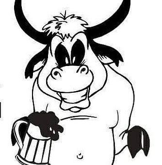 Product - Sit - N - Bull Bar in Taylor, ND Bars & Grills