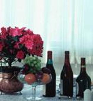 Product - Skyline Restaurant & Banquet in Windsor Locks, CT Italian Restaurants
