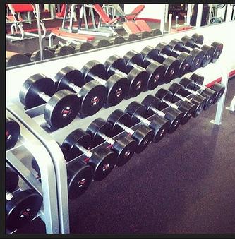 Product - Snap Fitness in Wildewood - Columbia, SC Health Clubs & Gymnasiums