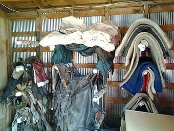 Product - Snow Mountain Ranch in Granby, CO Farms