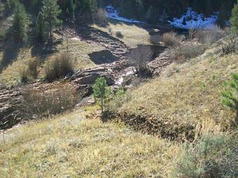 Product - Snow Mountain Ranch in Granby, CO Farms