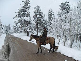 Product - Snow Mountain Ranch in Granby, CO Farms