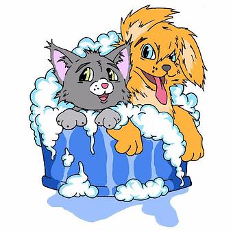 Product - Soap N Suds in San Antonio, TX Pet Care Services