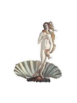 Product - Soft Shell in Petaluma, CA Day Spas