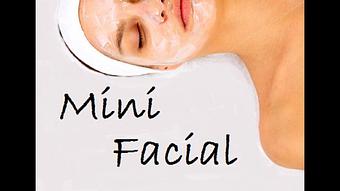 Product: Mini/Basic Facial - Somatic Massage Therapy, P.C in Floral Park - Floral Park, NY Massage Therapy