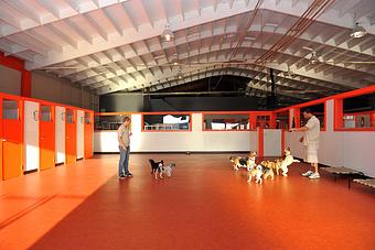 Product - South Park Doggie LAX Boarding and Daycare in LAX Los Angeles Airport - Inglewood, CA Pet Boarding & Grooming