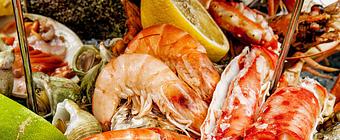 Product - Southern Style Kitchen And Cocktails in Naples, FL Seafood Restaurants