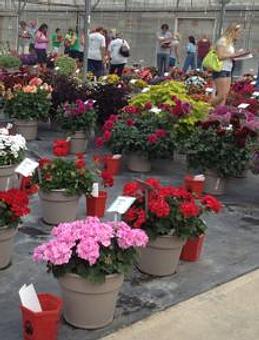 Product - Spencer's Lawn and Garden Center in Colorado Springs, CO Nurseries & Garden Centers