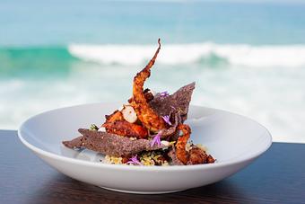 Product - Splashes Restaurant in Laguna coastline - Laguna Beach, CA American Restaurants