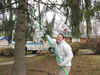 Product - Spruced Up Tree & Shrub in Salem, MA Ornamental Nursery Services
