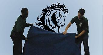 Product - Stallion Moving Services in Downtown - Denver, CO Moving Companies