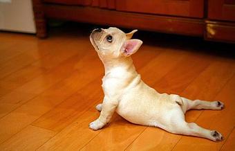 Product - Stretch Spot in Fort Lauderdale, FL Health & Medical