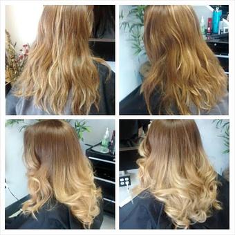 Product - Studio 17 in Johnson City, TN Misc Photographers